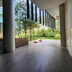 Synapse (D5), Retail #502879881